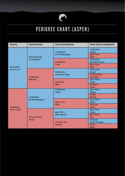 PEDIGREE CHART (ASPEN) - Northern Forest Sled Dog Team