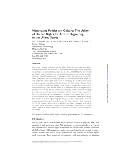 Negotiating Politics and Culture: The Utility of Human Rights for