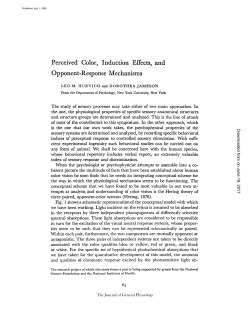 Perceived Color, Induction Effects, Opponent