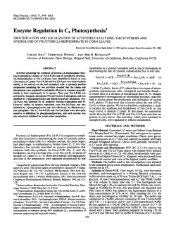 Enzyme Regulation in C4Photosynthesis1
