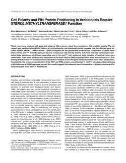 Cell Polarity and PIN Protein Positioning in Arabidopsis Require