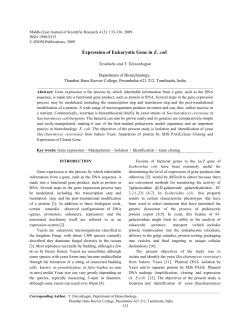 Expression of Eukaryotic Gene in E. coli