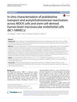 In vitro characterization of pralidoxime transport and