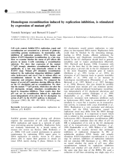 Homologous recombination induced by replication