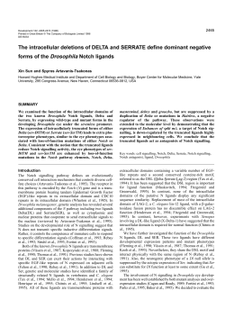 The intracellular deletions of DELTA and SERRATE