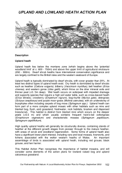 UPLAND AND LOWLAND HEATH ACTION PLAN