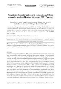 Karyotype characterization and comparison of three hexaploid