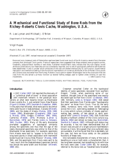 A Mechanical and Functional Study of Bone Rods