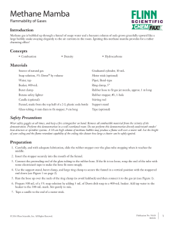 Methane Mamba - Flinn Scientific