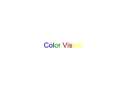 Color Vision
