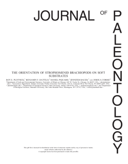 click for pdf - University of Illinois at Chicago