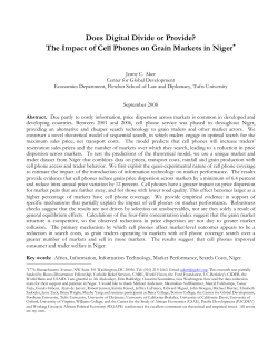 Does Digital Divide or Provide?