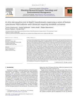 In vitro micronucleus test in HepG2 transformants