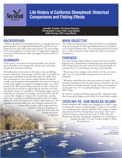 Life History of California Sheephead: Historical Comparisons and