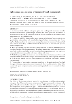 Spleen mass as a measure of immune strength in mammals