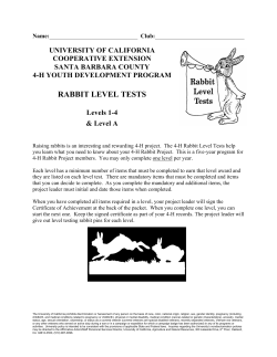 rabbit level tests