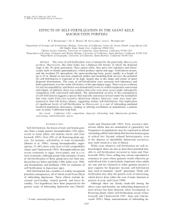 effects of self-fertilization in the giant kelp, macrocystis pyrifera