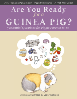 File - Sharna`s Cavy Sanctuary