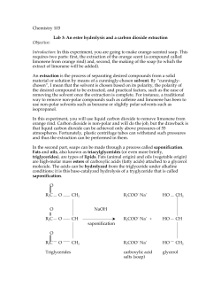 Chemistry 103 Lab 3: An ester hydrolysis and a carbon dioxide
