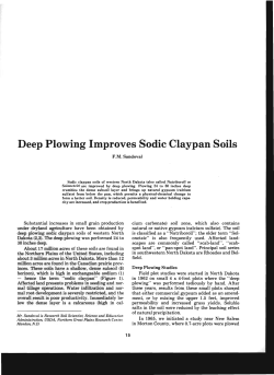 Deep Plowing Improves Sodie Claypan Soils