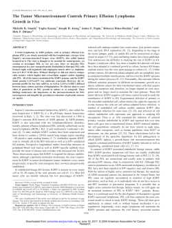 The Tumor Microenvironment Controls Primary