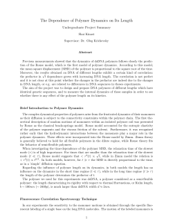 The Dependence of Polymer Dynamics on Its Length