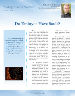 Do Embryos Have Souls? - National Catholic Bioethics Center