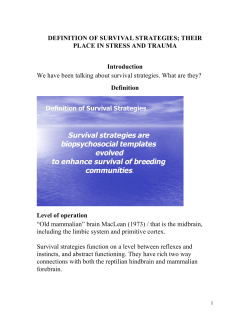 definition of survival strategies