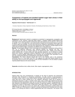 Comparison of haploid and doubled haploid sugar beet clones in