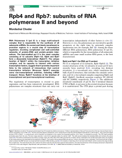 Rpb4 and Rpb7: subunits of RNA polymerase II and beyond