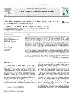 Carbon partitioning to berries in water stressed grapevines: The role