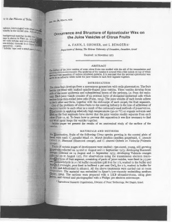 occurrence and Structure of Epicuticular Wax on the Juice Vesicles