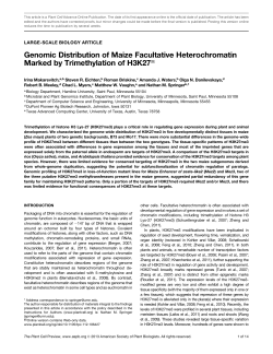 Genomic Distribution of Maize Facultative
