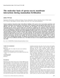 The molecular basis of sperm&plusmn;oocyte membrane interactions during