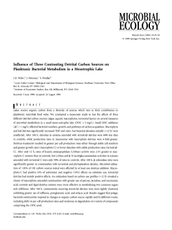Influence of Three Contrasting Detrital Carbon Sources on