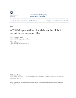 A 700000-year-old fossil find shows the Hobbits