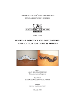 modular robotics and locomotion: application to