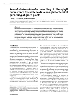 Role of electron-transfer quenching of chlorophyll fluorescence by