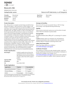 Mouse anti-c-Met - Thermo Fisher Scientific