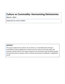 Culture as Commodity: Harmonizing Dichotomies