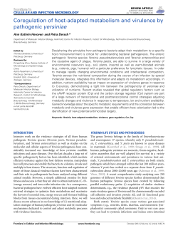 Coregulation of host-adapted metabolism and virulence by