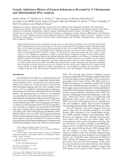 Genetic Admixture History of Eastern Indonesia