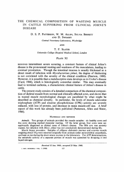 the chemical composition of wasting muscle in cattle suffering from