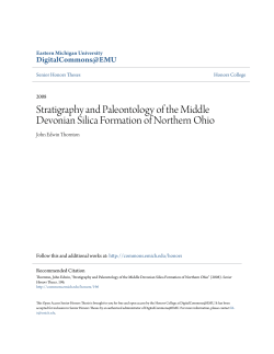 Stratigraphy and Paleontology of the Middle Devonian Silica