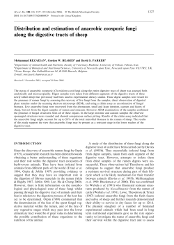 to the complete text - David Moore`s World of Fungi