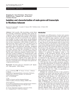 Isolation and characterization of male-germ