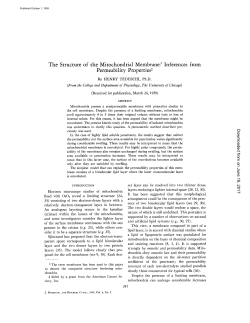 o - The Journal of Cell Biology