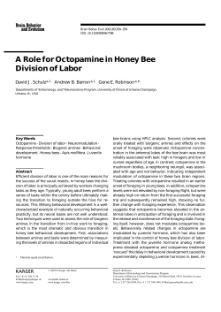 Neurochemical Regulation of Division of Labor