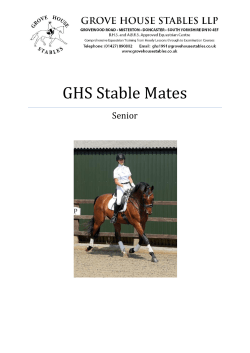 Stable Mates - Grove House Stables