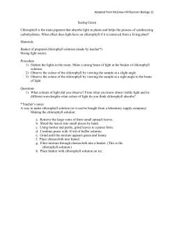 Seeing Green Chlorophyll is the main pigment that absorbs light in